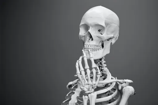 Остеопороз – заболевание костей скелета.
