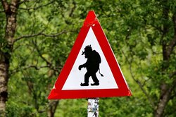 Тролли в интернете — кто они? Отвечают ученые