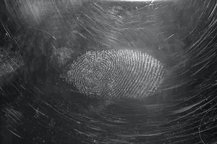 На древней посуде нашли отпечаток пальцев возрастом 5000 лет