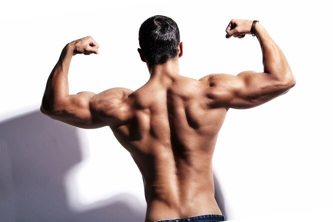 Запасной спины у вас не будет: 7 упражнений для укрепления мышц и связок