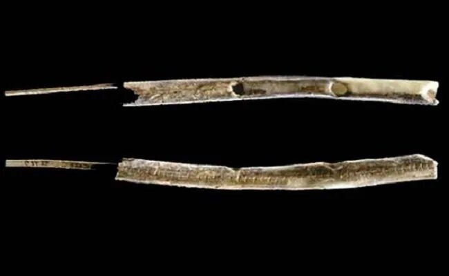 И еще пара слов об искусстве: древнейшими музыкальными инструментами на сегодняшний день являются костяные флейты, найденные в верховьях Дуная на территории южной части Германии. Одна флейта сделана из кости мамонта, другая из кости птицы. Профессор Ник Конрад оценивает свою находку в 42 000 43 000 лет. Вероятно, люди пришли в эту область как раз перед наступлением глобального похолодания, и это место использовалась в качестве базы для отдыха и социальных коммуникаций.