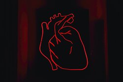 Как уберечь себя от сердечного приступа: каждый должен помнить про эти 4 вещи