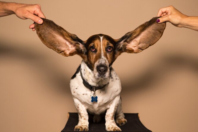 Почему закладывает уши и как прочистить их без травм