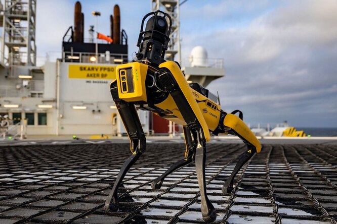 За что робопса Boston Dynamics уволили из полиции Нью-Йорка За что робопса Boston Dynamics уволили из полиции Нью-Йорка