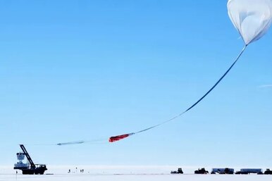 В Антарктике находится целый «параллельный мир»: что говорят ученые