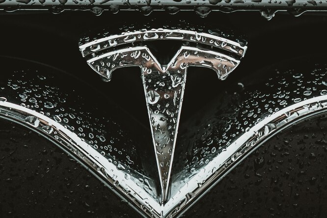 Илон Маск объявил о планах по запуску Tesla в России