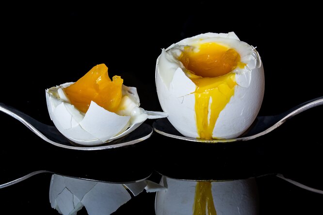 Как правильно варить яйца: сколько времени нужно для каждого типа