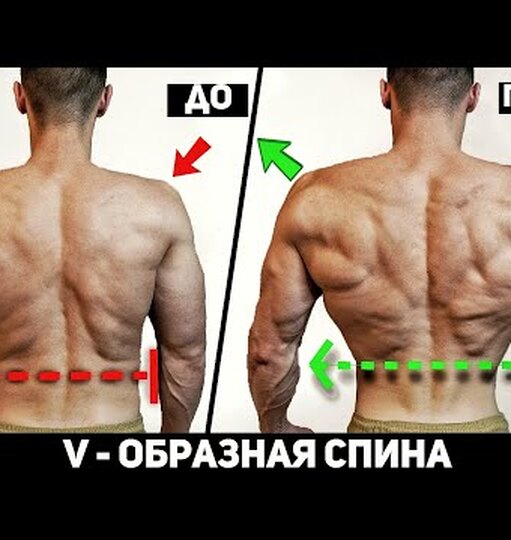 �������� �����������: ����.