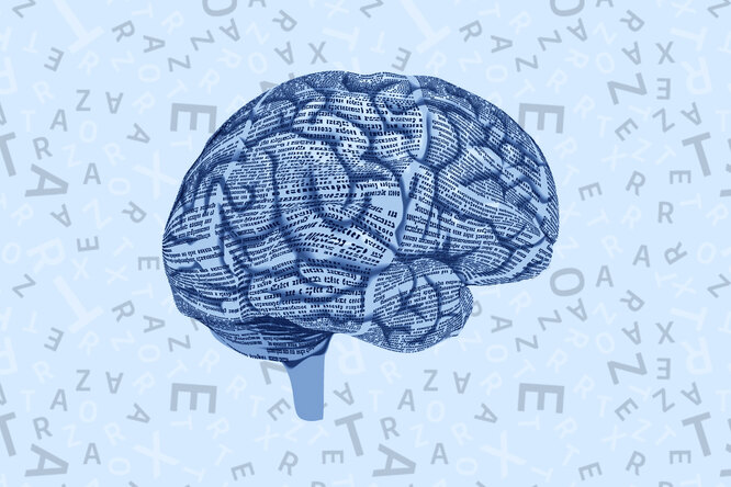 Как улучшить память: 3 важных правила для здоровья мозга