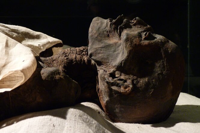 Раскрыта главная загадка египтологии: ученые нашли утерянную мумию царицы Нефертити