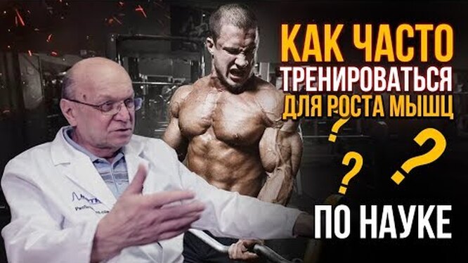 Факторы, влияющие на количество тренировок