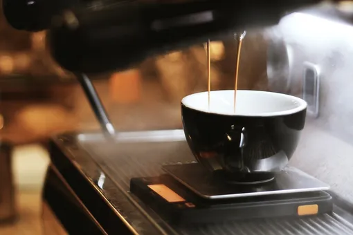 Сколько чашек кофе нужно пить ежедневно для продления жизни: ученые назвали точное количество