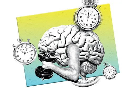 4 с половиной мифа о работе мозга: чему точно нельзя верить