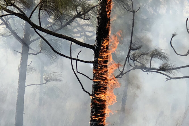 Чем опасен смог в Москве от лесных пожаров и можно ли от него защититься с помощью маски