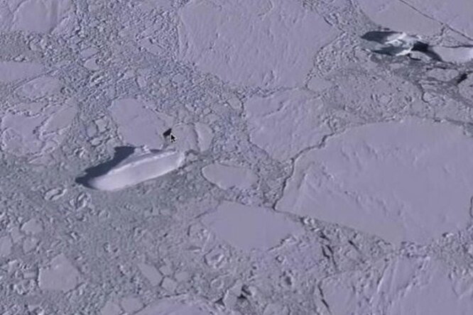 Странный «корабль» в Антарктиде на снимках Google Earth: что это и как оно там оказалось?