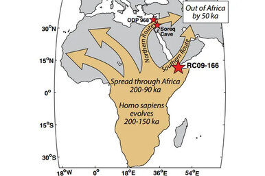 Почему первые люди покинули Африку