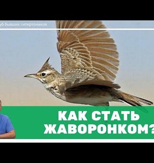 Нажми и смотри