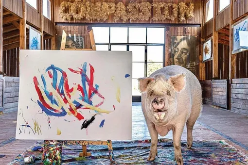Умерла свинья-художница, которая заработала на картинах миллион долларов и получила кличку в честь великого художника
