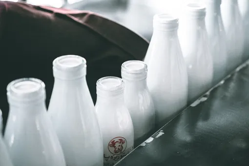 Как упаковка молока влияет на его вкус и какие продукты дольше остаются свежими?