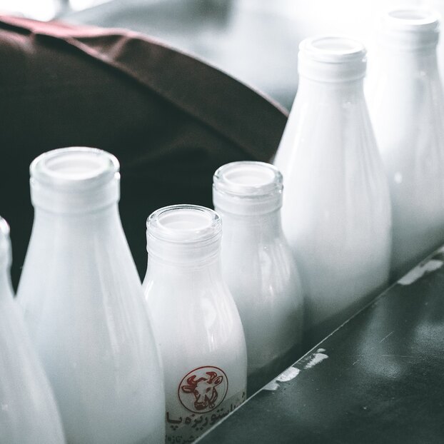 Как упаковка молока влияет на его вкус и какие продукты дольше остаются свежими?