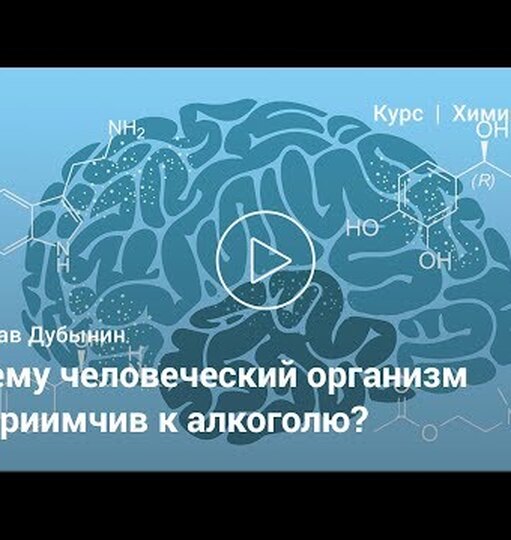 Нажми и смотри