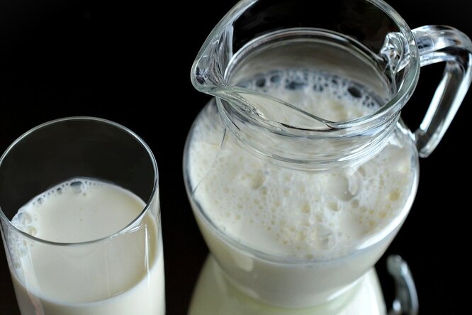 Имеет ли смысл взрослым пить молоко или оно не усваивается?
