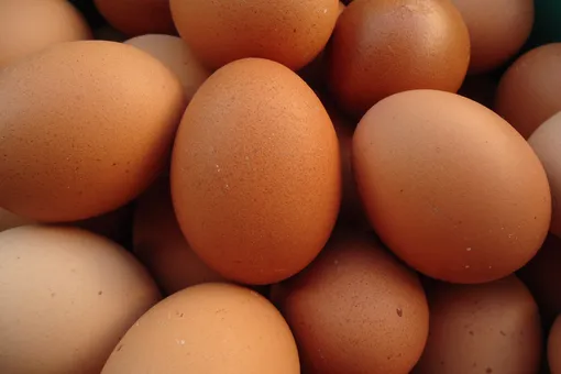 Что случится с организмом, если съесть слишком много яиц?