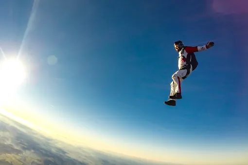 В России разработали систему для прыжков с парашютом с собаками