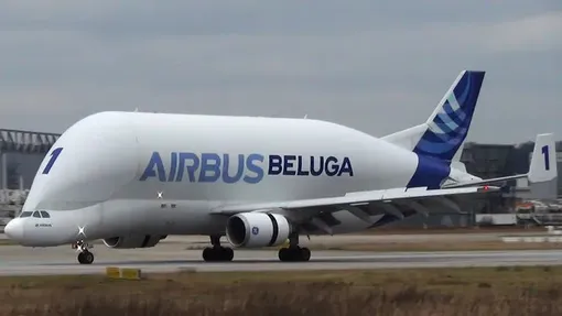 Airbus A300-600ST Beluga выглядит весьма необычно и в самом деле напоминает морду белухи