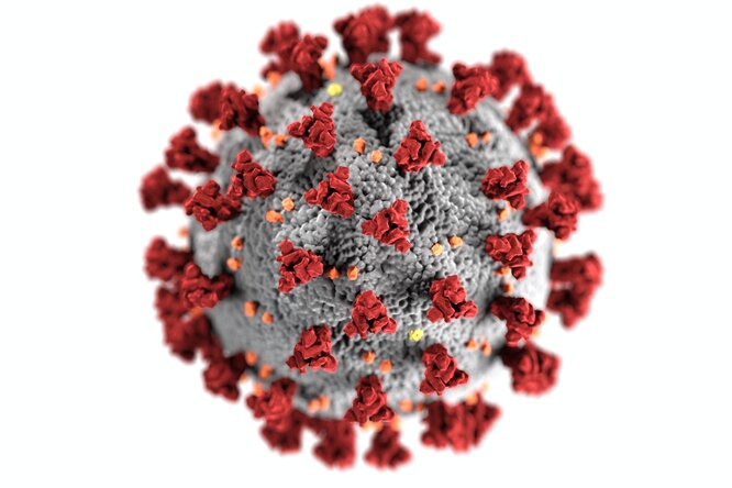 Почему количество штаммов коронавируса постоянно увеличивается?