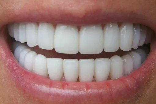 Как заставить зубы расти: эффективный способ, который предлагают ученые