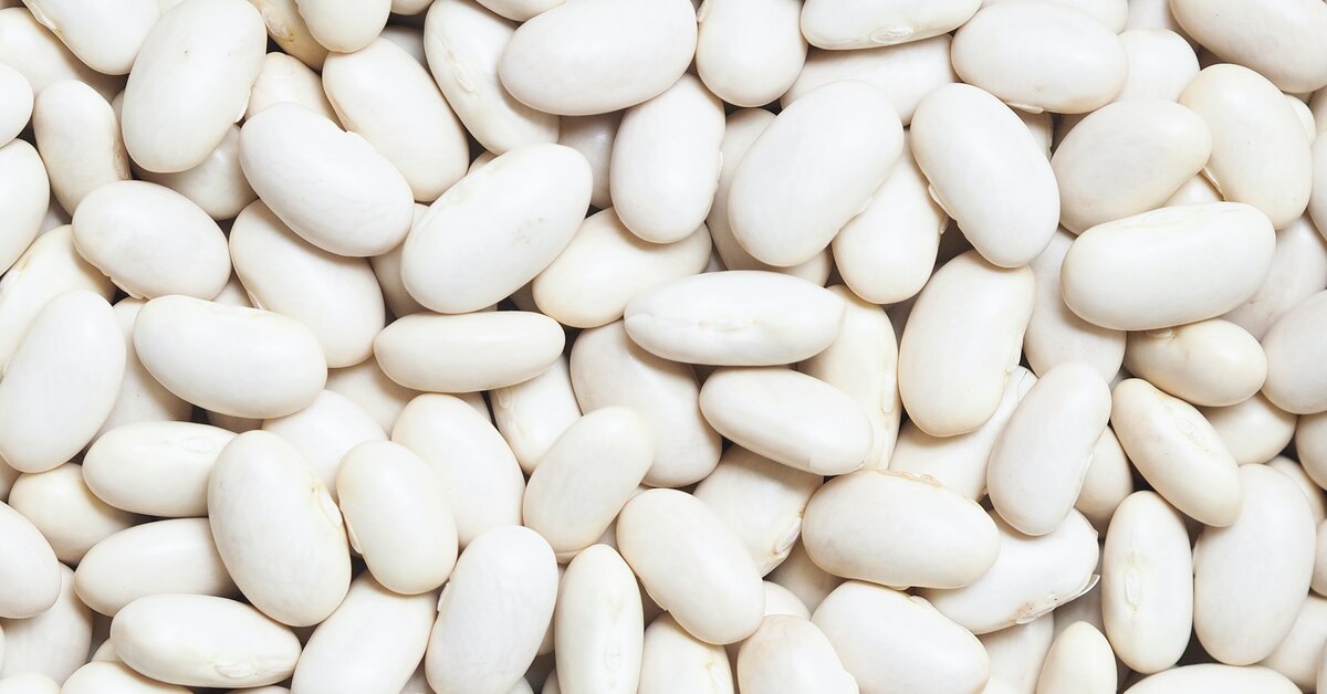 фасоль белая нэви. морские бобы. морские бобы. белые бобы. фасоль чали белая.