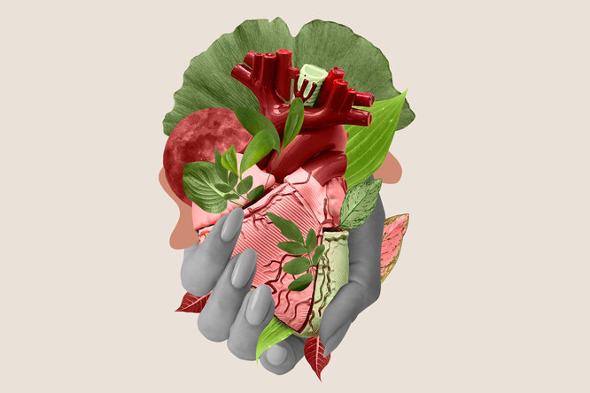 Как понять, что сердце остановилось: можно ли спасти человека