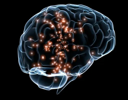 Визуализация того, как происходит процесс стимуляции мозга и «пробуждения» ряда нейронов в нашей голове.