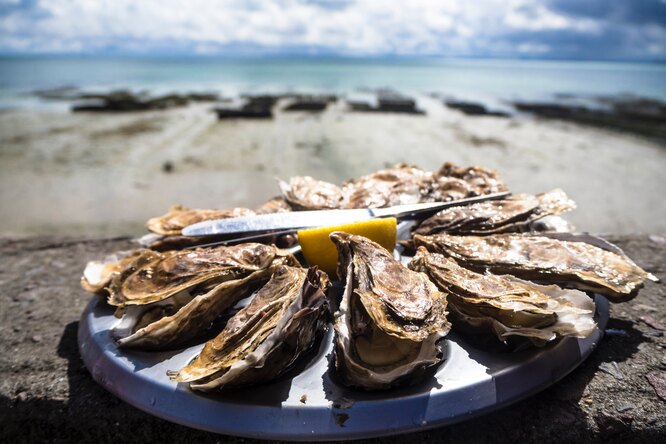 Морепродукты могут облегчить симптомы депрессии: интересное открытие исследователей