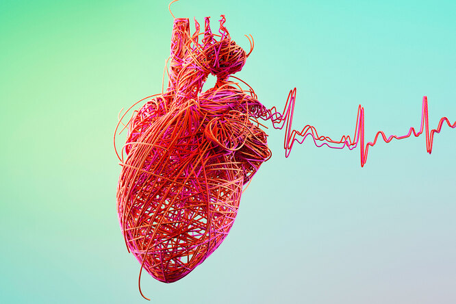 Что больше всего вредит сердцу: 15 необычных фактов об этом жизненно важном органе