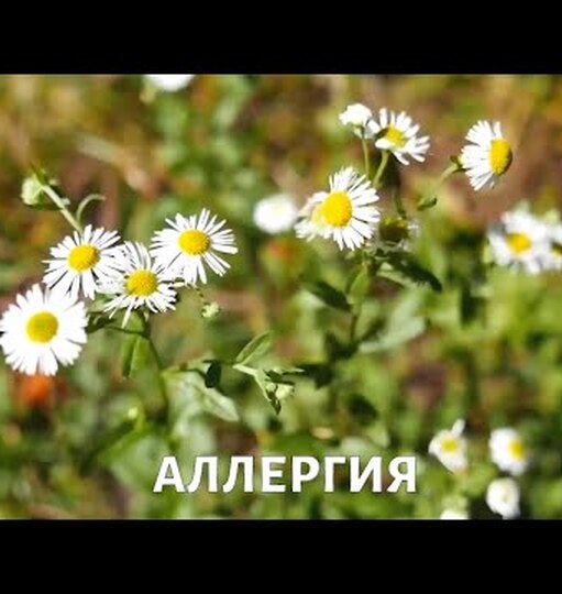 Нажми и смотри