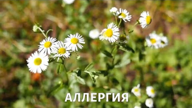 Нажми и смотри