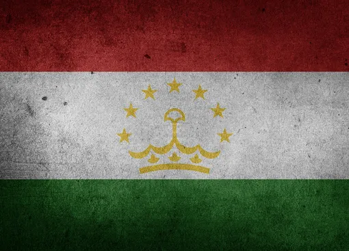 В России разрешено двойное гражданство только с одной страной – Таджикистаном