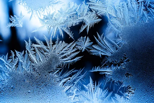 Самые интересные факты о холоде и зиме