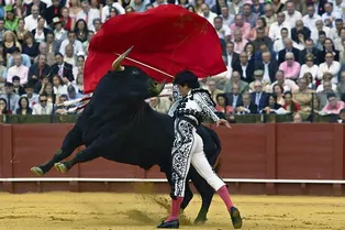 Правда ли, что красный цвет вызывает у быков агрессию?
