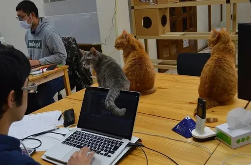 Он много работает. Он много работает