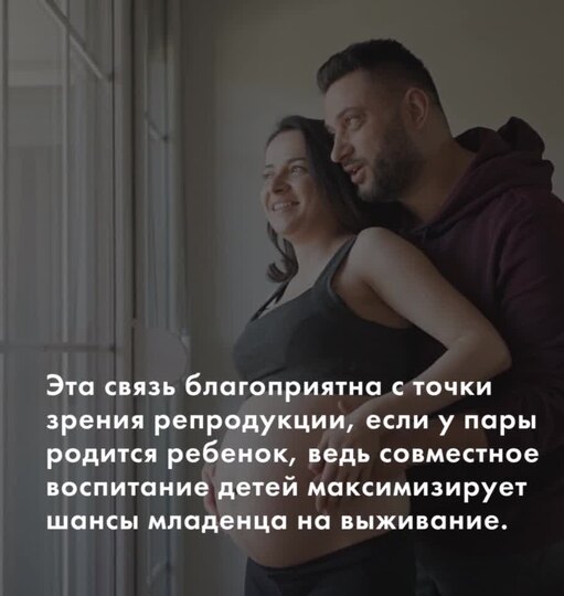 Нажми и смотри