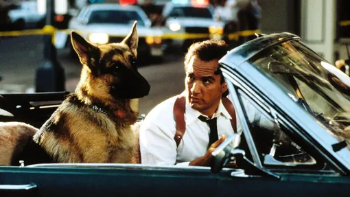 «К-9: Собачья работа» (1989)