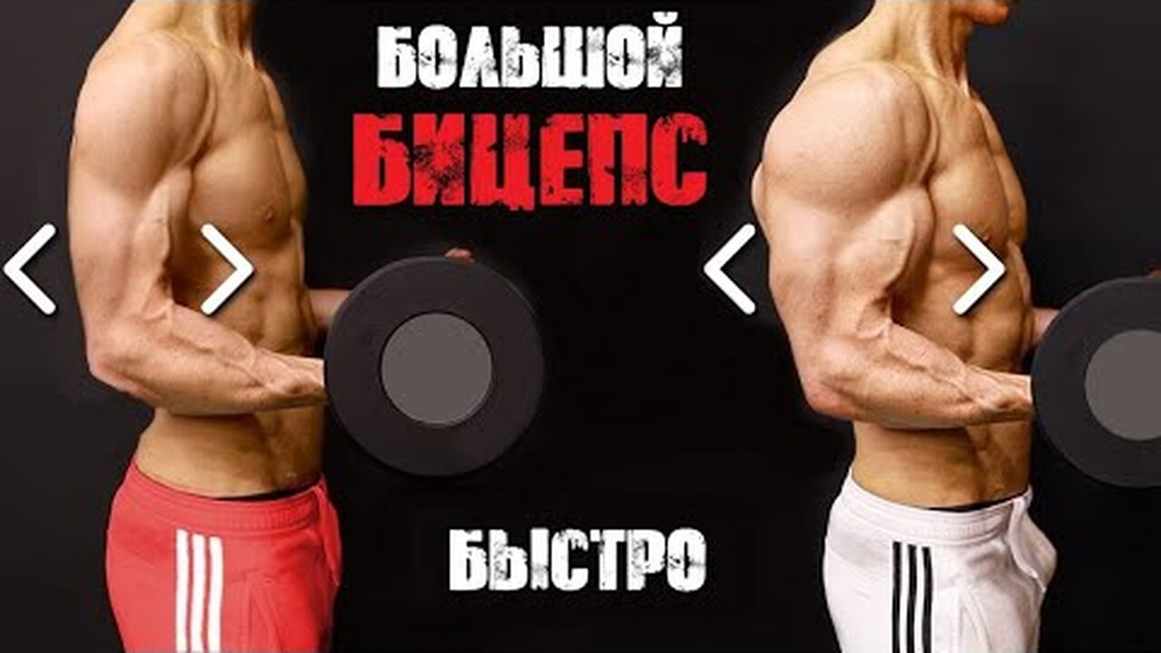 Сколько качать бицепс