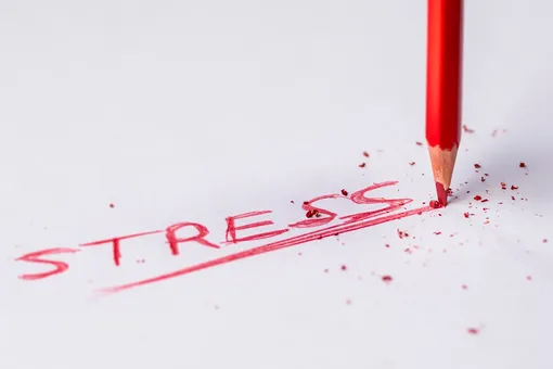 Как избавиться от привычки заедать стресс и тревогу