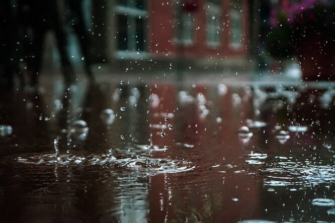 Ученые предупредили москвичей об опасности гулять под дождем
