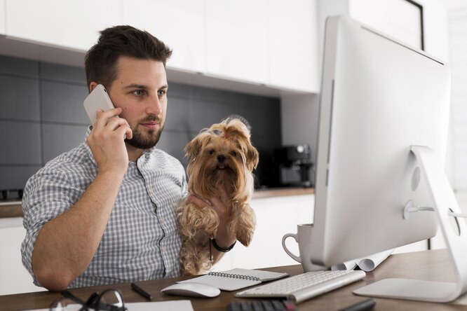 День с собакой на работе: Половина хозяев собак и кошек в России хотят работать вместе с любимцем