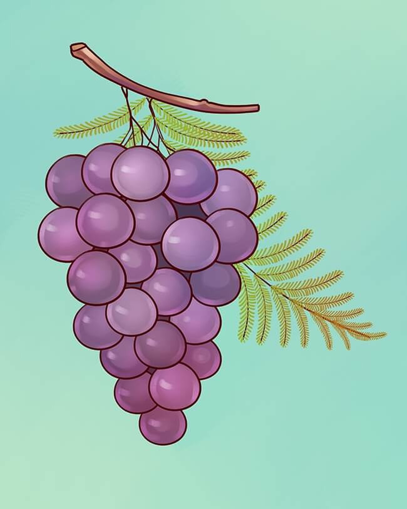 Гроздь винограда лежит