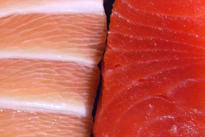 Почему филе рыб разных цветов — белого или красного?